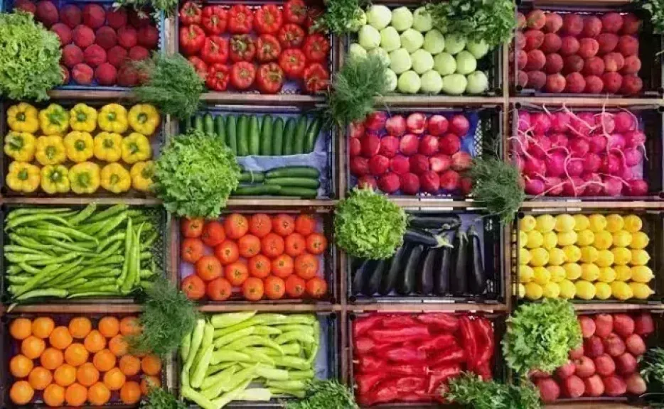 أسعار الخضروات اليوم