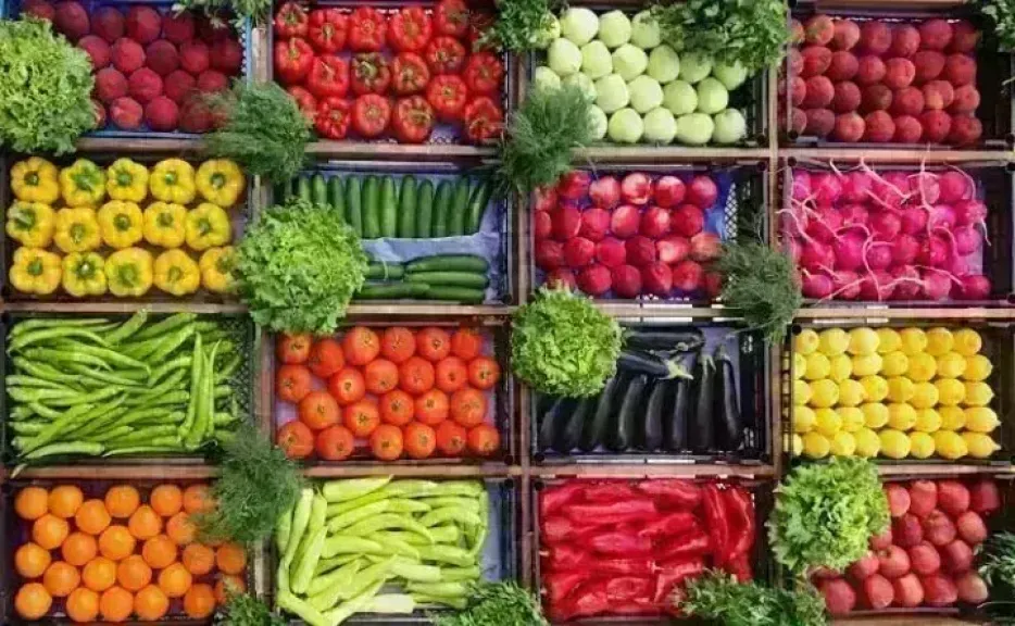 أسعار الخضروات اليوم