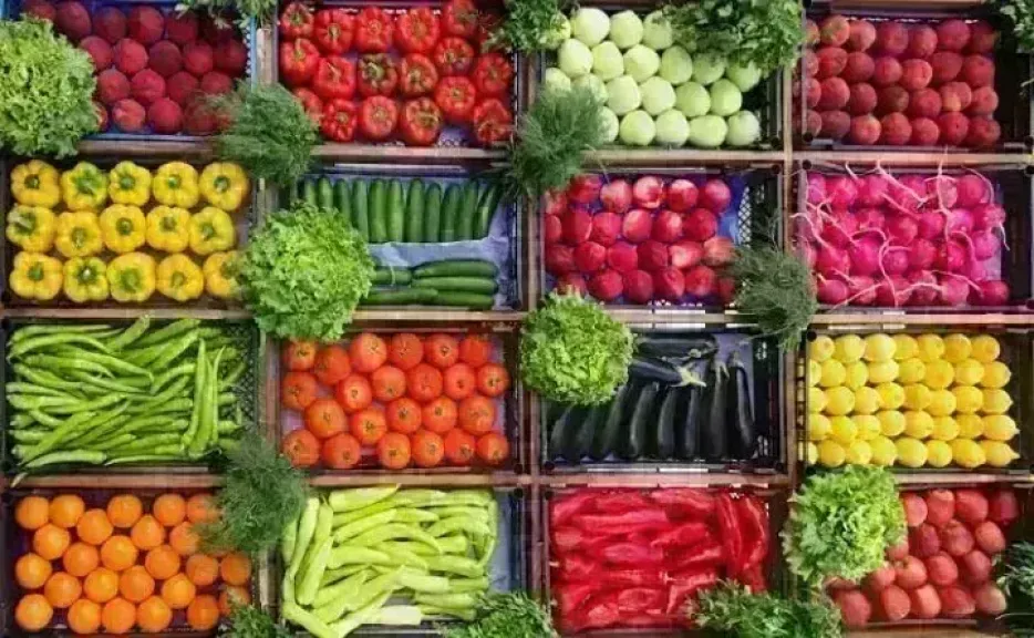 أسعار الخضروات اليوم