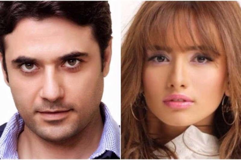 اليوم.. الحكم في دعوى زينة لمطالبة أحمد عز بدفع 21 ألف إسترليني مصاريف مدارس توأمهما