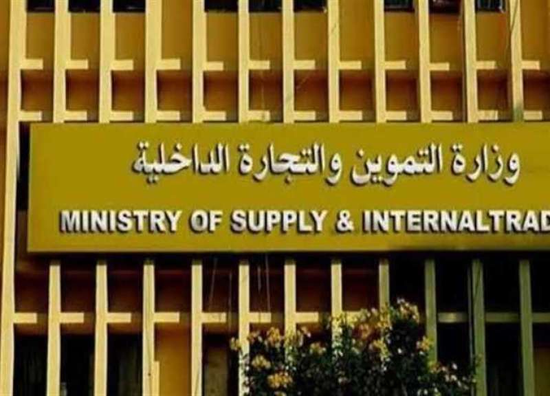 مصر 2030