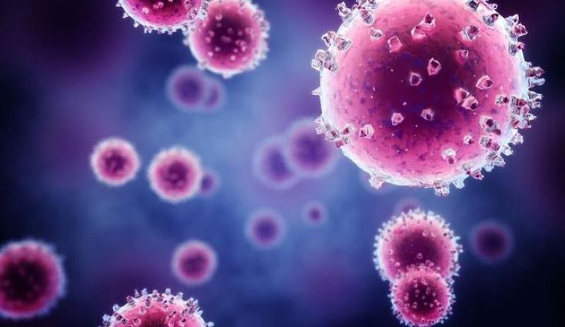 أشرف عقبة: 70% من أطفال المدارس مصابين بالفيروس المخلوي لهذا السبب