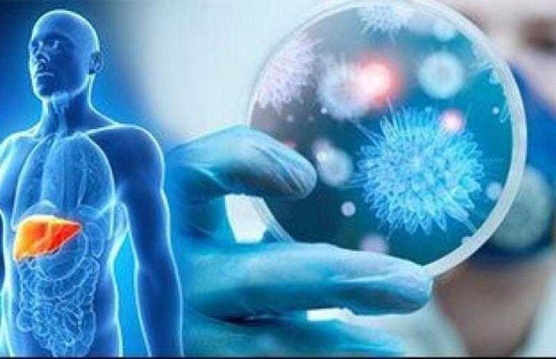 التأمين الصحي تكشف تفاصيل حملة الكشف عن فيروس سي لطلاب أولى إعدادي  «فيديو»