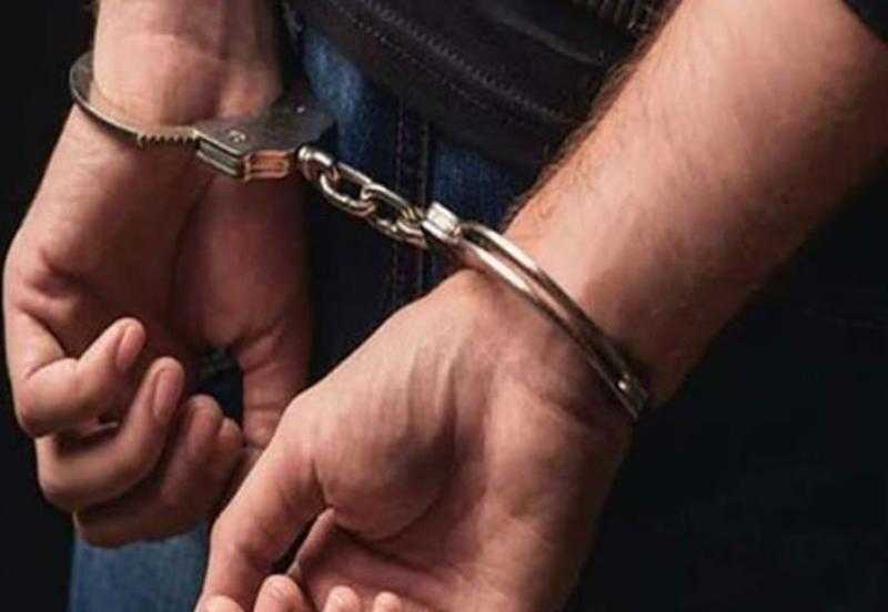 القبض على مالك الكلاب الشرسة في الغربية