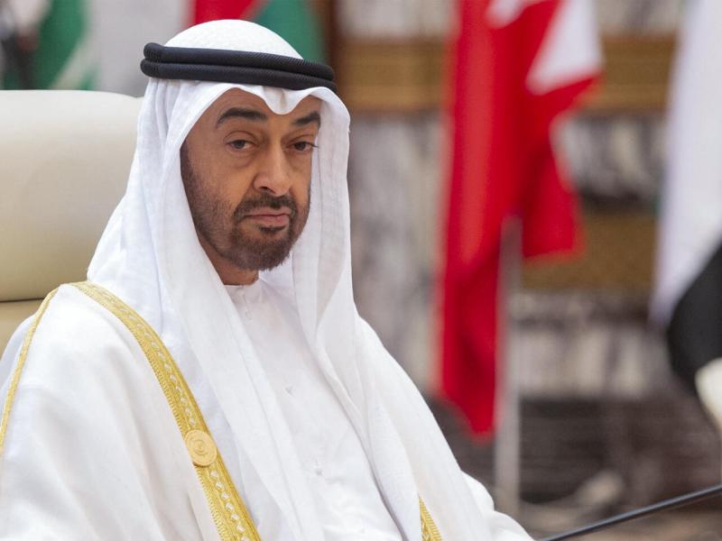 رئيس دولة الامارات