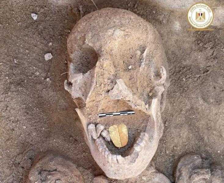 آثار المنوفية: لأول مرة اكتشاف ألسنة ذهبية في فم المومياوات.. فيديو