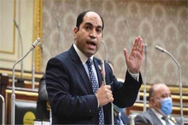 برلماني: مصر ليست في حاجة للدفاع عن نفسها بملف حقوق الإنسان.. «فيديو»