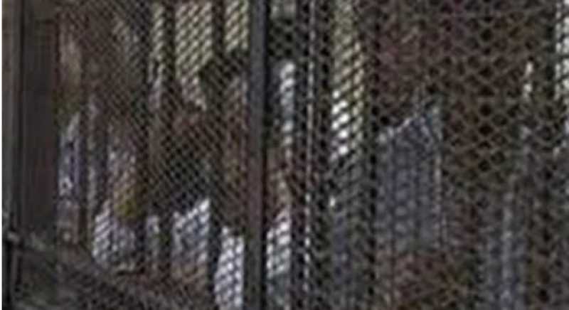 إحالة 5 متهمين بـ«خلية مصر الجديدة الإرهابية» للمفتي