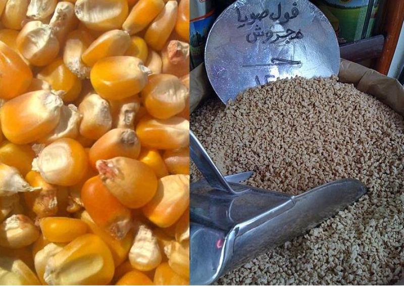 فول الصويا والذرة الصفراء-صورة أرشيفية