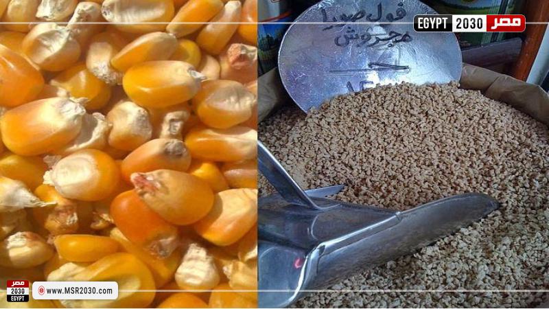 فول الصويا والذرة الصفراء-صورة أرشيفية