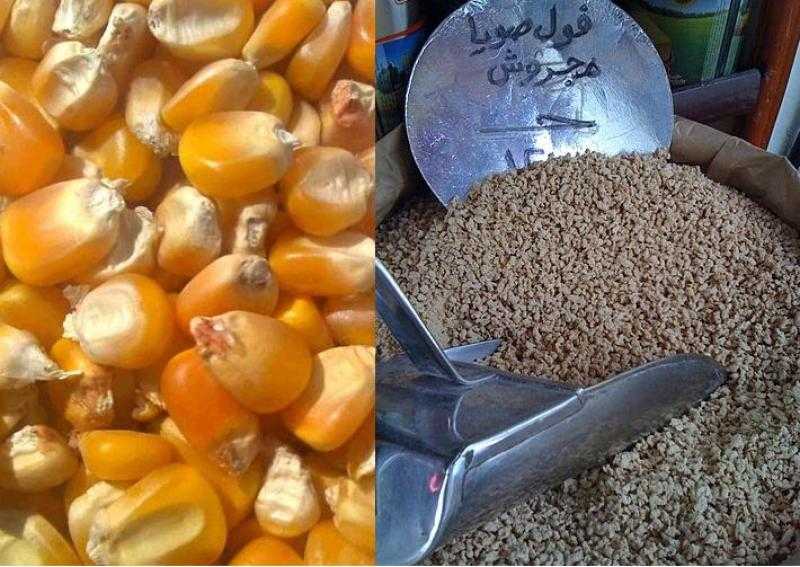 عاجل.. الإفراج عن 172 ألف طن أعلاف من الموانئ