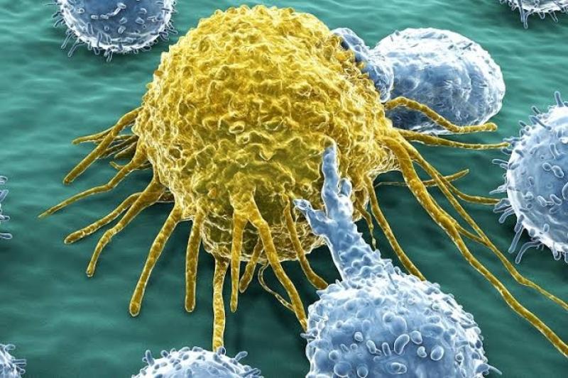 ما هي أسباب تكاثر الخلايا السرطانية في الجسم؟