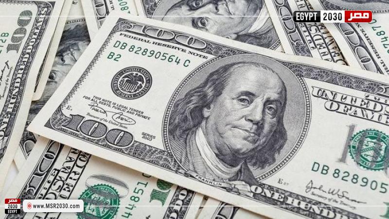 سعر الدولار