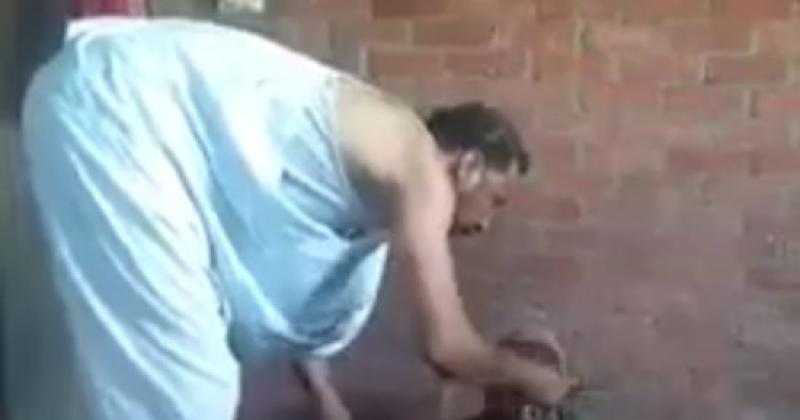 الحبس سنة لراعى أغنام في واقعة ضرب والدته المسنة بالشرقية