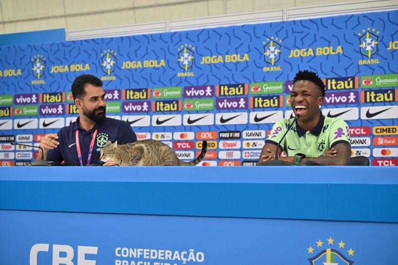 «قطة» تقتحم مؤتمر فينسيوس قبل مباراة كرواتيا في كأس العالم