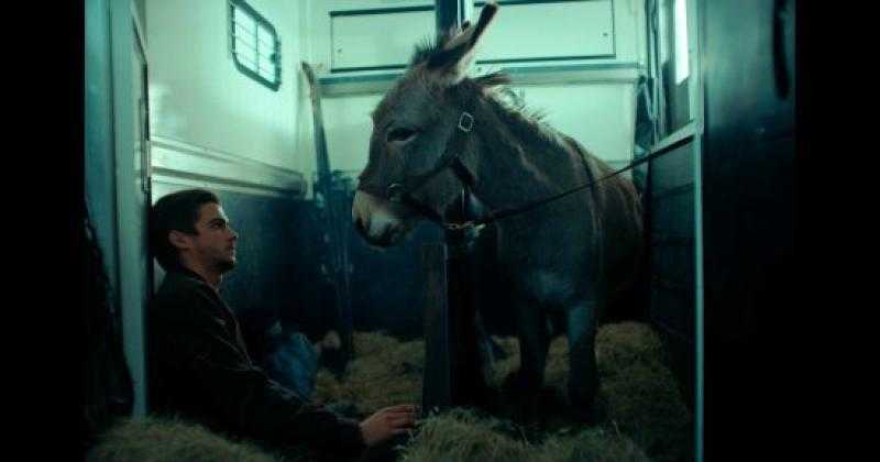 فيلم Eo يقترب من تحقيق أول مليون دولار بعد عرضه بأيام