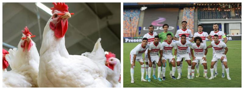 الزمالك 
