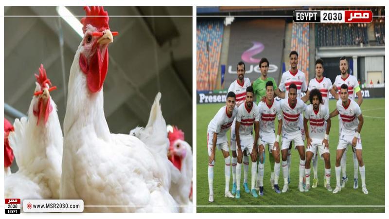 الزمالك 