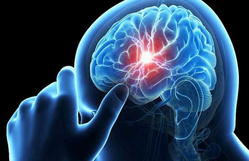 أستاذ بالمعهد القومي للتغذية: المخ يحتاج للشحن مثل الهواتف.. «فيديو»