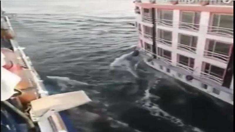 الداخلية تكشف تفاصيل جنوح طاقم قيادة عائمة سياحية تجاه أخرى بالأقصر