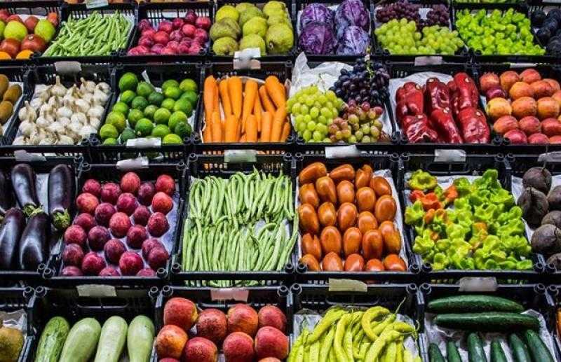 روشتة من شعبة الخضروات والفاكهة لمواجهة أزمة ارتفاع الأسعار.. «فيديو»
