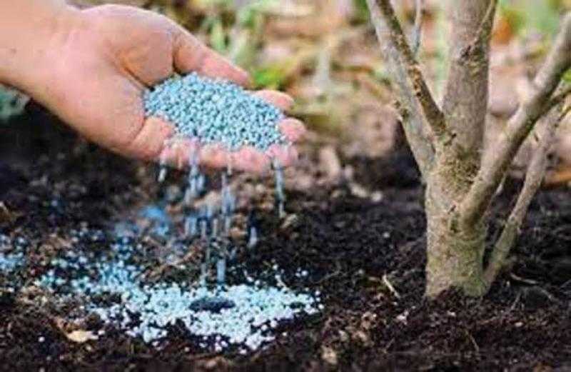 زراعة النواب: توافر الأسمدة الأزوتية في الجمعيات الزراعية بكافة المحافظات