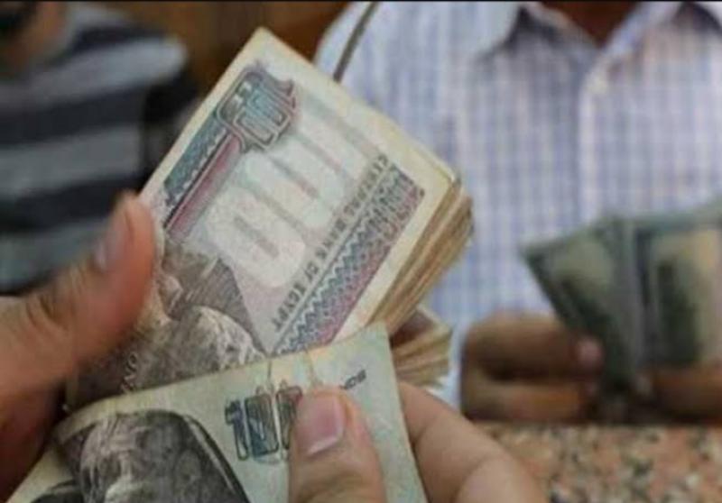 مرتبات 