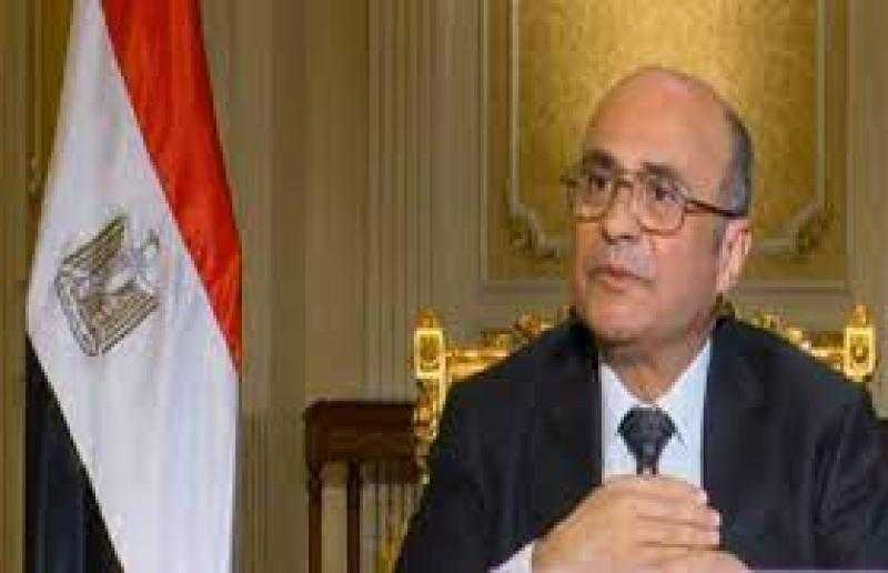 وزير العدل يكشف حقيقة دفع 30 ألف لصندوق الأسرة للمقبلين على الزواج.. «فيديو»