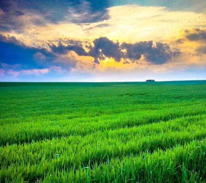 أمطار السعودية.. إحدى علامات الساعة التي بَشَّر بها النبي ﷺ