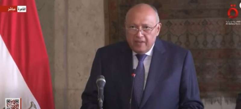 سامح شكري
