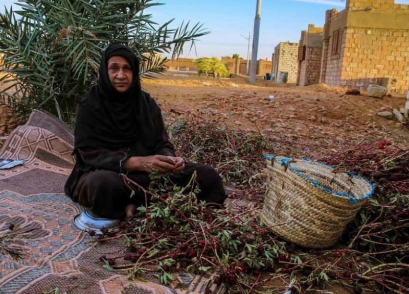 قرية للمطلقات والأرامل