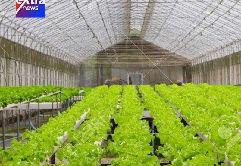 مشروعات زراعية نفذتها الدولة في الصعيد.. فيديو