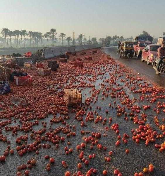 بسبب حمولة طماطم.. مصرع سائق نقل ثقيل على طريق رافد جمصة