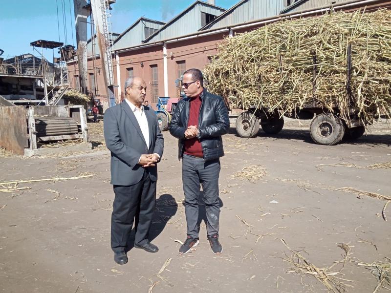 التموين: توريد 350 ألف طن قصب من المزارعين وإنتاج نحو 35 ألف طن سكر