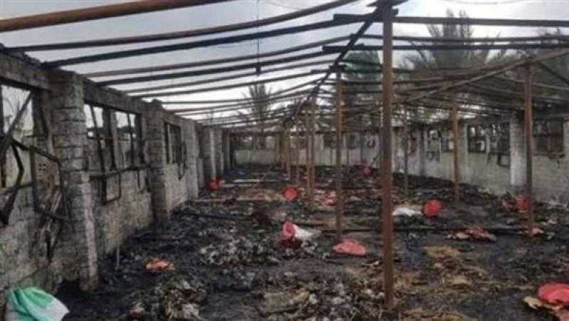 نفوق عدد كبير من الكتاكيت في حريق مزرعة بكفر الشيخ