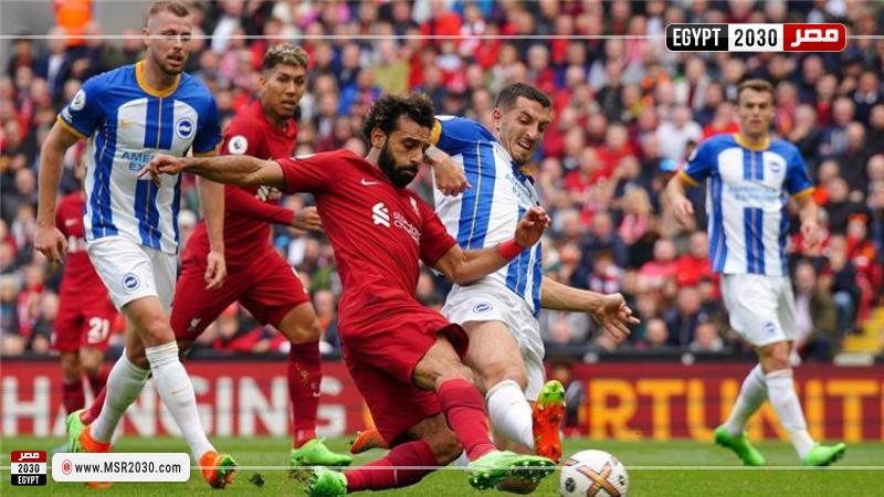 ليفربول وبرايتون
