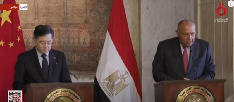 شكري يكشف تفاصيل لقاء السيسي بوزير خارجية الصين.. «فيديو»