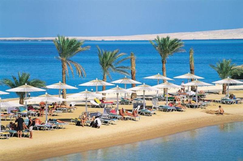 وليد البطوطي