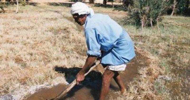 بالمنجل.. فلاح يقتل جاره بسبب الخلاف على ”حد” أرض زراعية ببنها