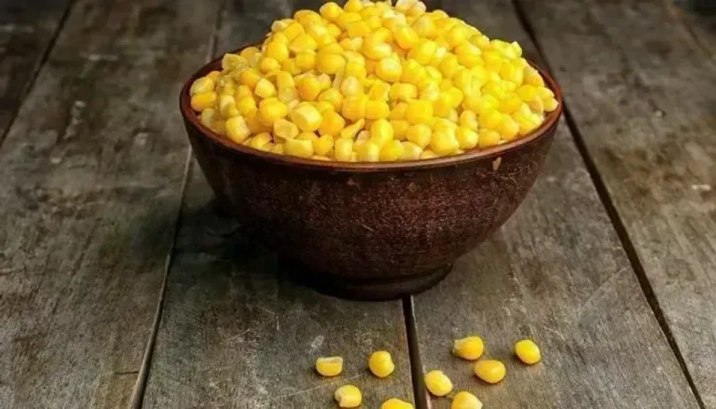 سعر طن الذرة الصفراء