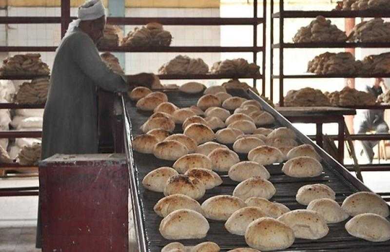 تفاصيل فكرة كروت صرف الخبز لغير حاملي البطاقات التموينية.. «فيديو»