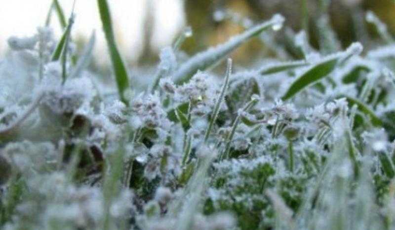 صقيع وثلوج على هذه المحافظات.. تفاصيل طقس الجمعة