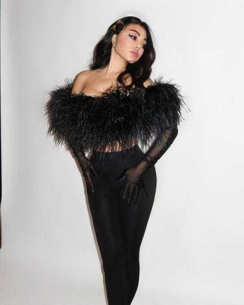 هيفاء وهبي تتصدر التريند بإطلالة الريش