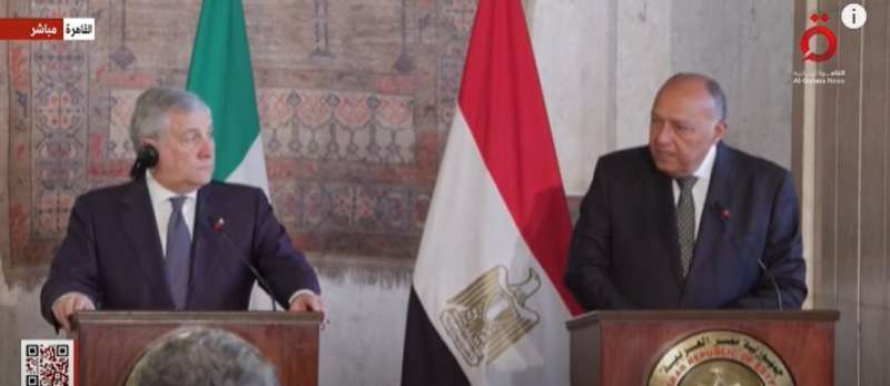 شكري ووزير خارجية إيطاليا