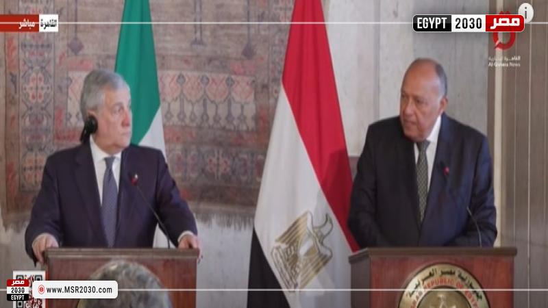 شكري ووزير خارجية إيطاليا