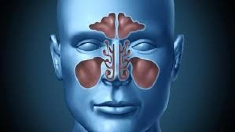 هل يمكن استخدام المضادات الحيوية لعلاج التهاب الجيوب الأنفية؟​