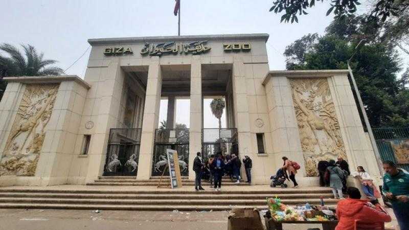 خطة حدائق الحيوان لاستقبال الزائرين بإجازة نصف العام.. «فيديو»