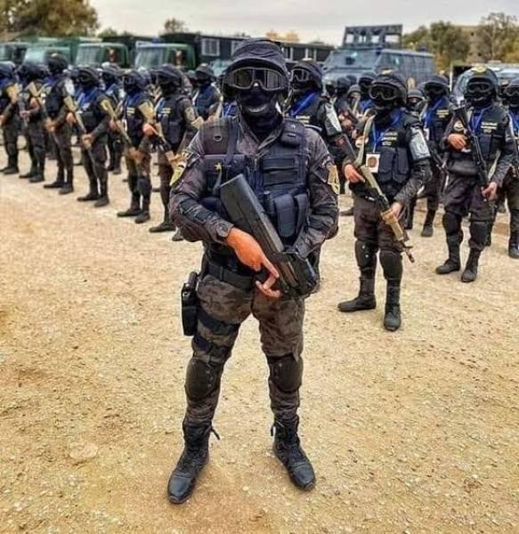 الشرطة المصرية