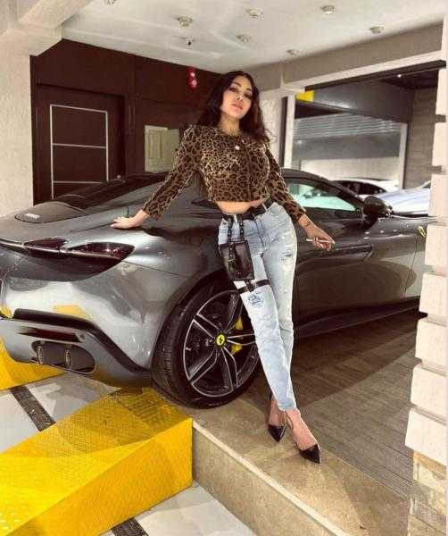 «بسعر صادم».. هيفاء وهبي تخطف الأنظار في أحدث جلسة تصوير لها بسيارة فارهة