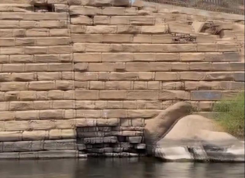 حامية جنوب مصر.. «الفنتين» جزيرة أسوان الساحرة.. فيديو